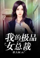 我的极品女总裁青光楚辞